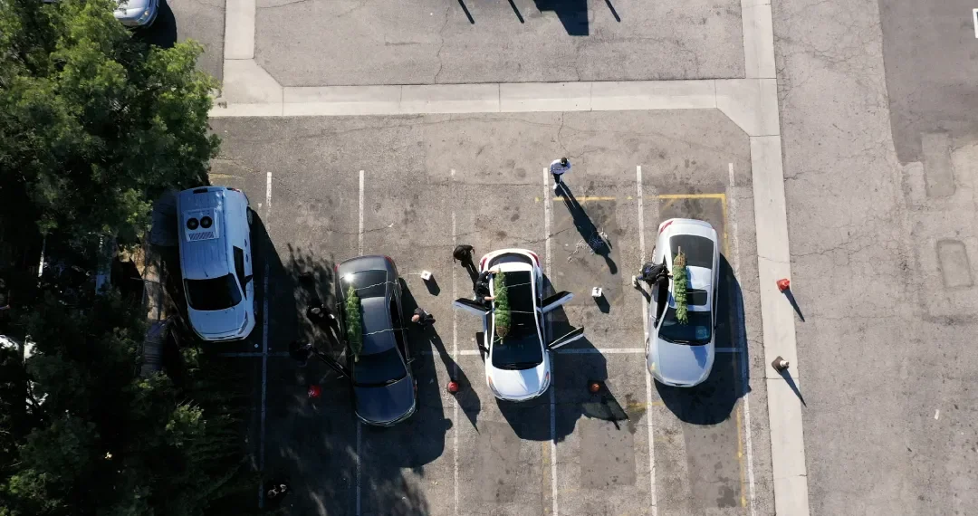 Trees People: Catalyst Cares’ 2nd Annual...