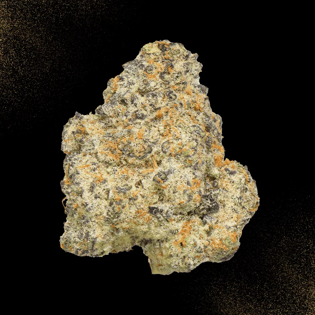 FLOWER [3.5G] PURPLE POP