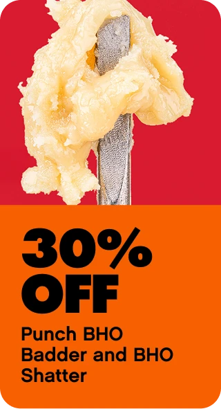 Punch BHO 30% Off