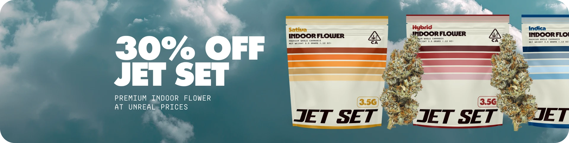 Jet Set 30% Off Indoor Flower