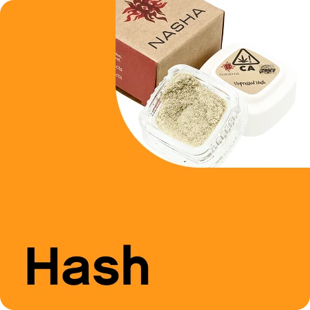 Discover Hash at Embarc