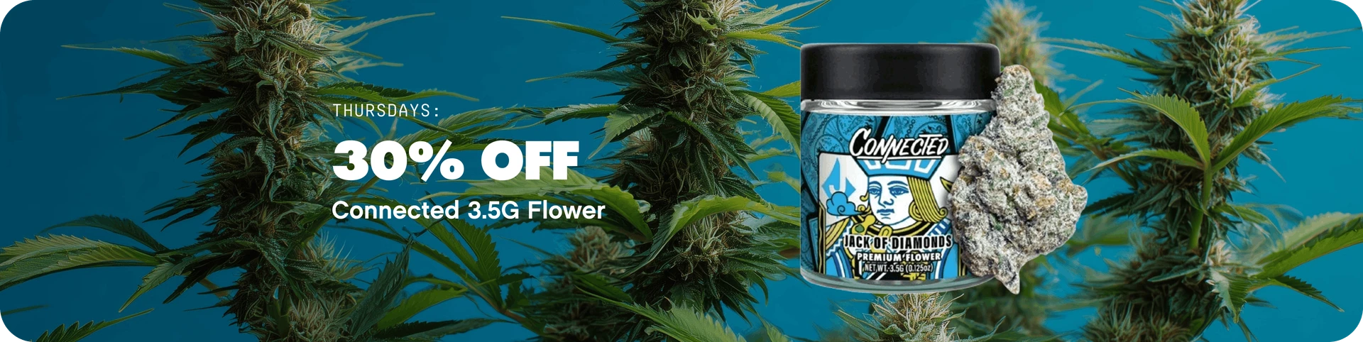30% Off Connected Flower