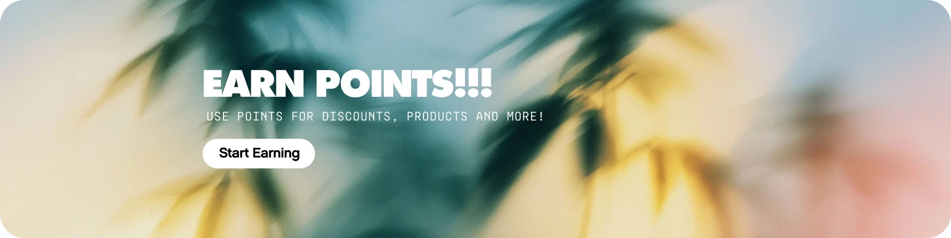Earn Points on Every Purchase!
