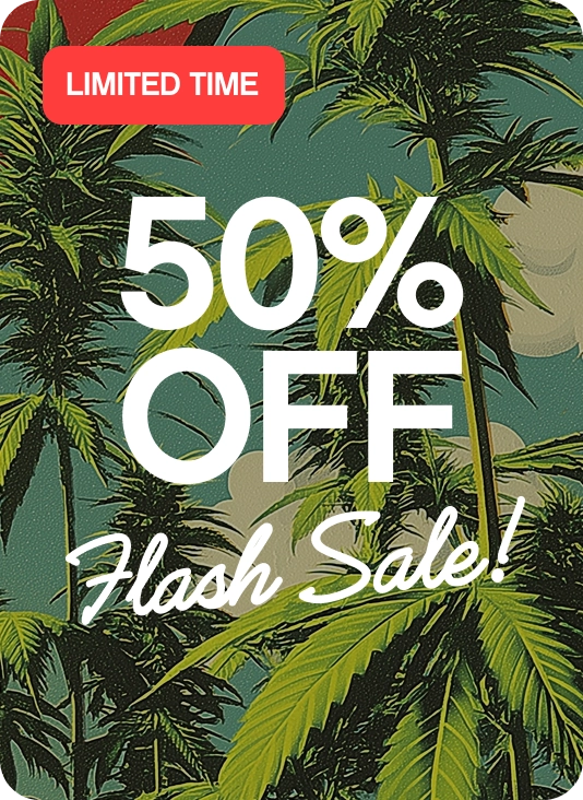 Shop the embarc flash sale!