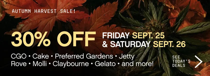 autumn harvest sale at embarc