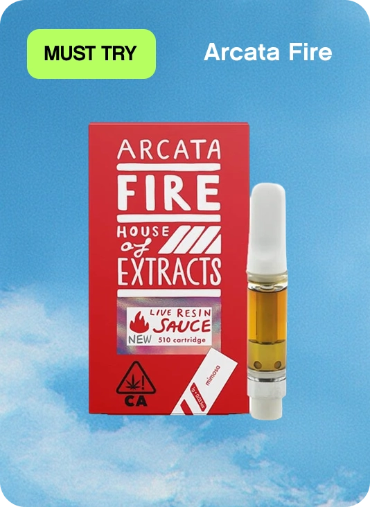 experience arcata fire at embarc