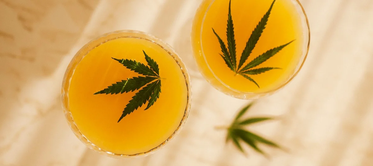 Cannabis Drinks: The Future of Socializing Without Alcohol? - Explore & Learn article