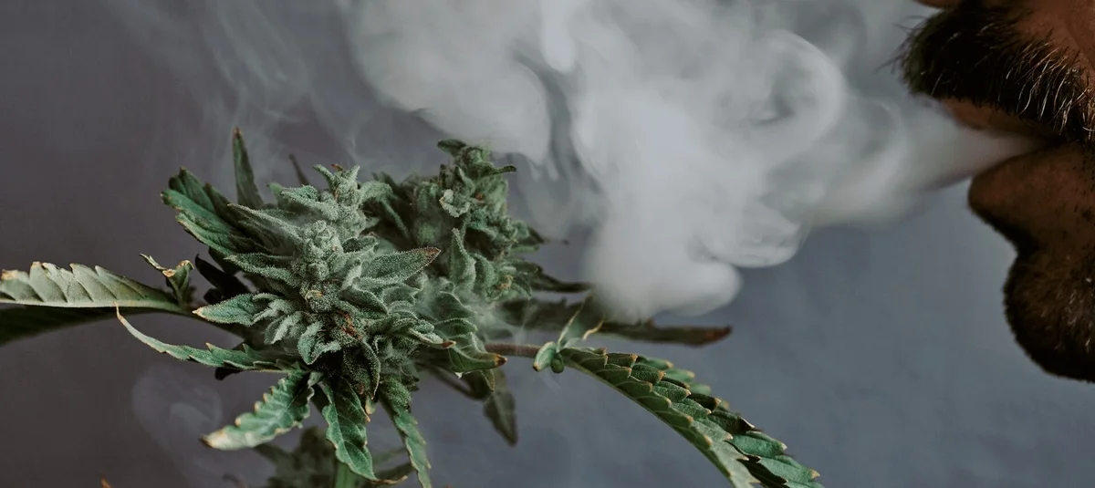 Cannabis Etiquette 101: Do’s and Don’ts for Social Smoking Today - Explore & Learn article