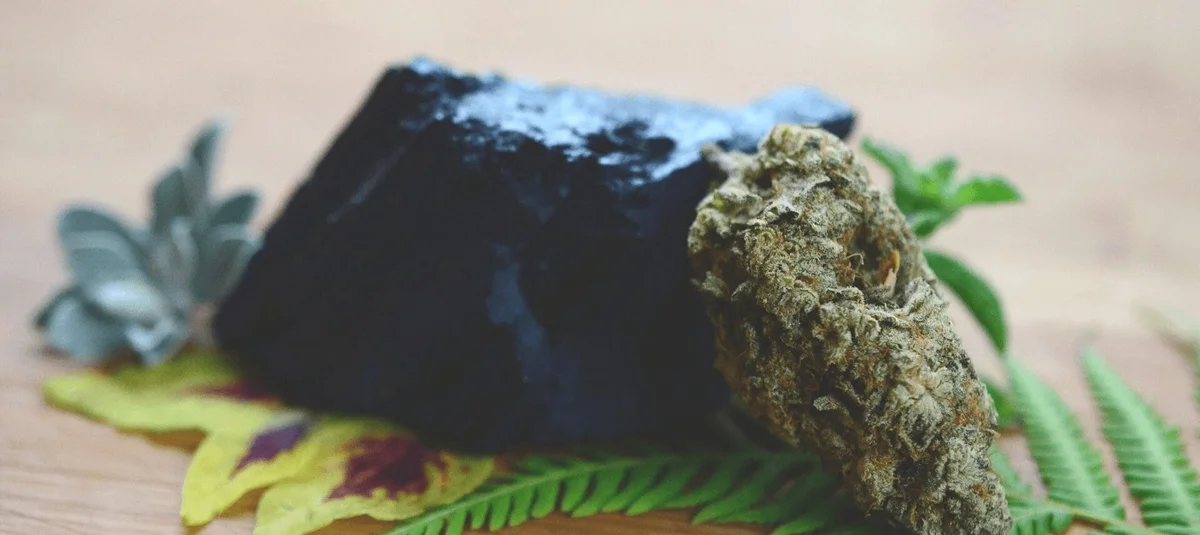 The Rise of Solventless Hash: Why Consumers Are Switching - Explore & Learn article