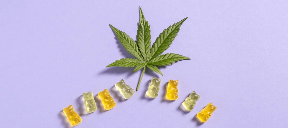 How to Choose the Right Edible: Gummies vs. Chocolates vs. Drinks - Explore & Learn article