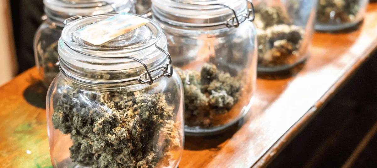 The Golden Rules of Safe Cannabis Storage (and How to Make It Last Longer) - Explore & Learn article