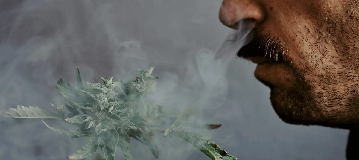 The Best Cannabis Products for Creative Work (Backed by Science & User Experience) - Explore & Learn article