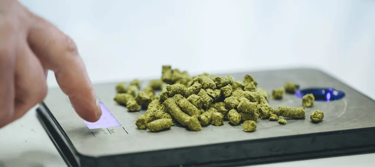 Microdosing Cannabis: A Smart Guide for Control, Clarity, and Consistency - Explore & Learn article