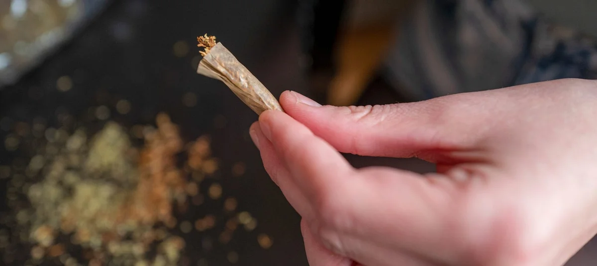 How to Calculate THC in a Joint: Weight, Potency, and Intake Explained - Explore & Learn article