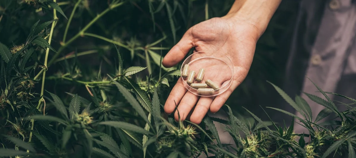 Cannabis Edible Dosing: Safe Strategies and Best Practices for U.S. Consumers - Explore & Learn article