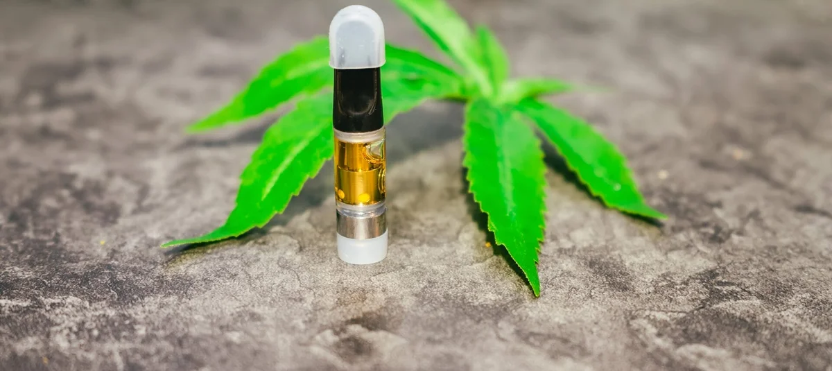 HHC vs. THC: Understanding the Differences and What They Mean for You - Explore & Learn article