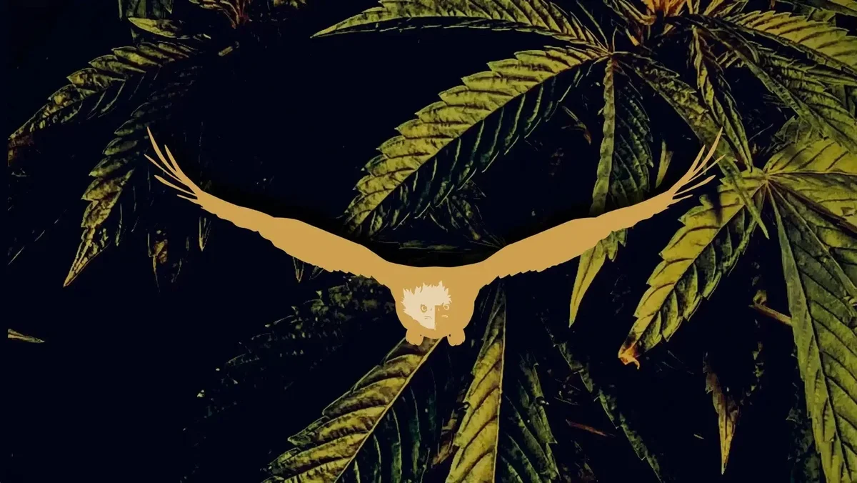 The Craft Season 2: Sanctuary Farms - The Craft article