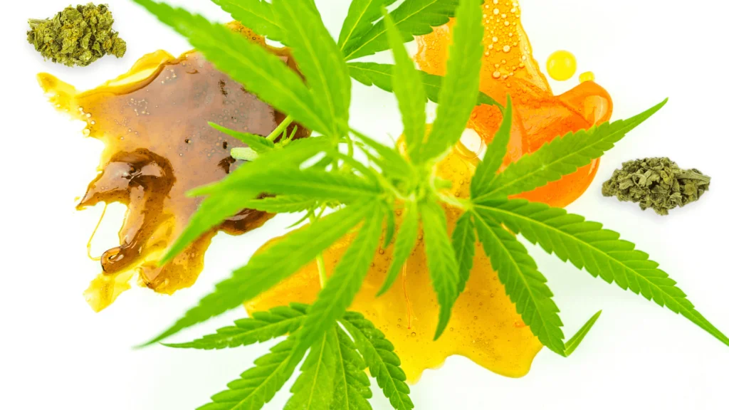 Live Resin: Is It Safe To Use? - Explore & Learn article
