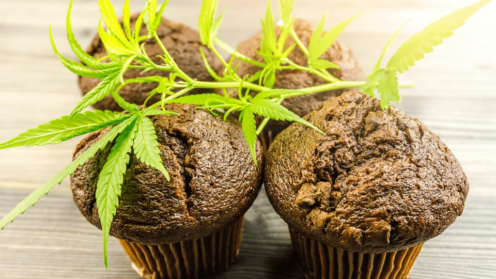 Making Edibles With Dabs And Concentrates - Explore & Learn article