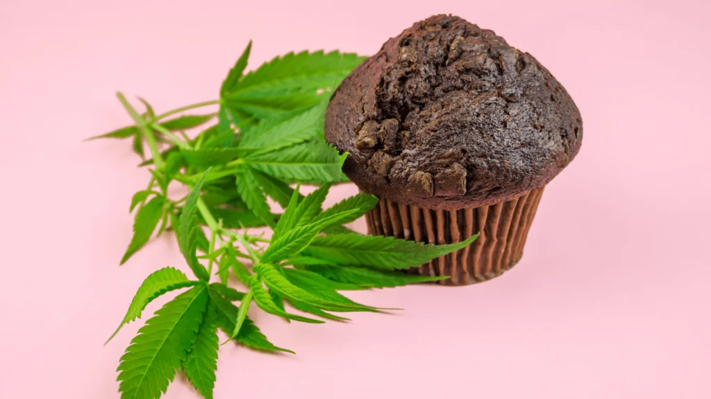 Are Edibles Allowed In Checked Luggage? - Explore & Learn article