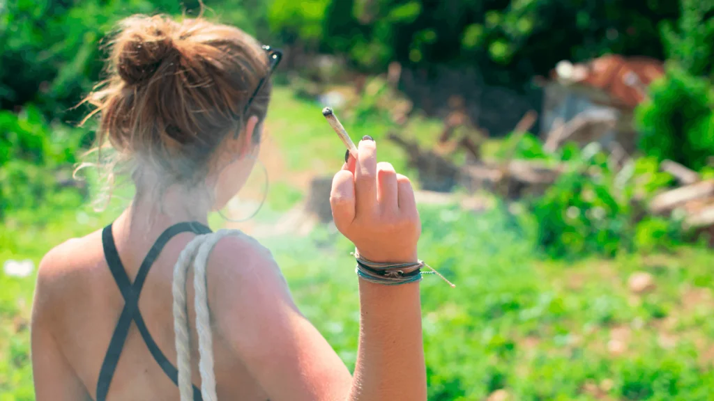 The Origins Of The Term “Mota” In The World Of Cannabis - Explore & Learn article