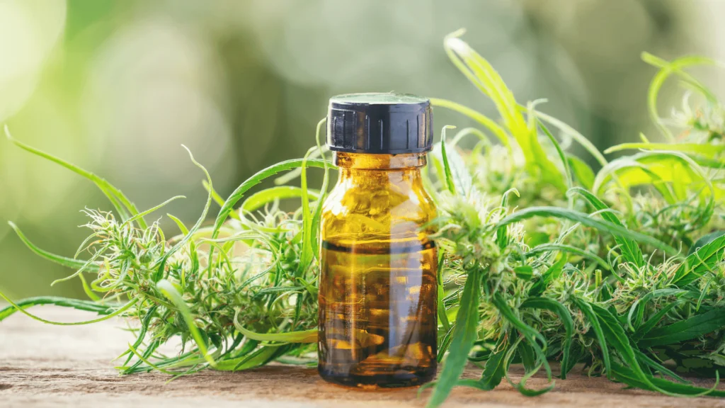 Complete Guide To Rosin: What Is It And How Do You Make It? - Explore & Learn article