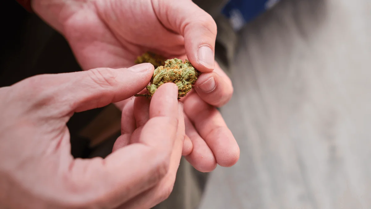 What Is A Zip Of Weed? - Explore & Learn article