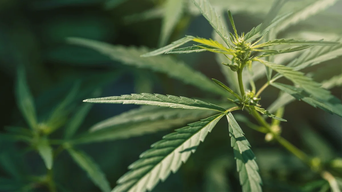 BLOG blog header image