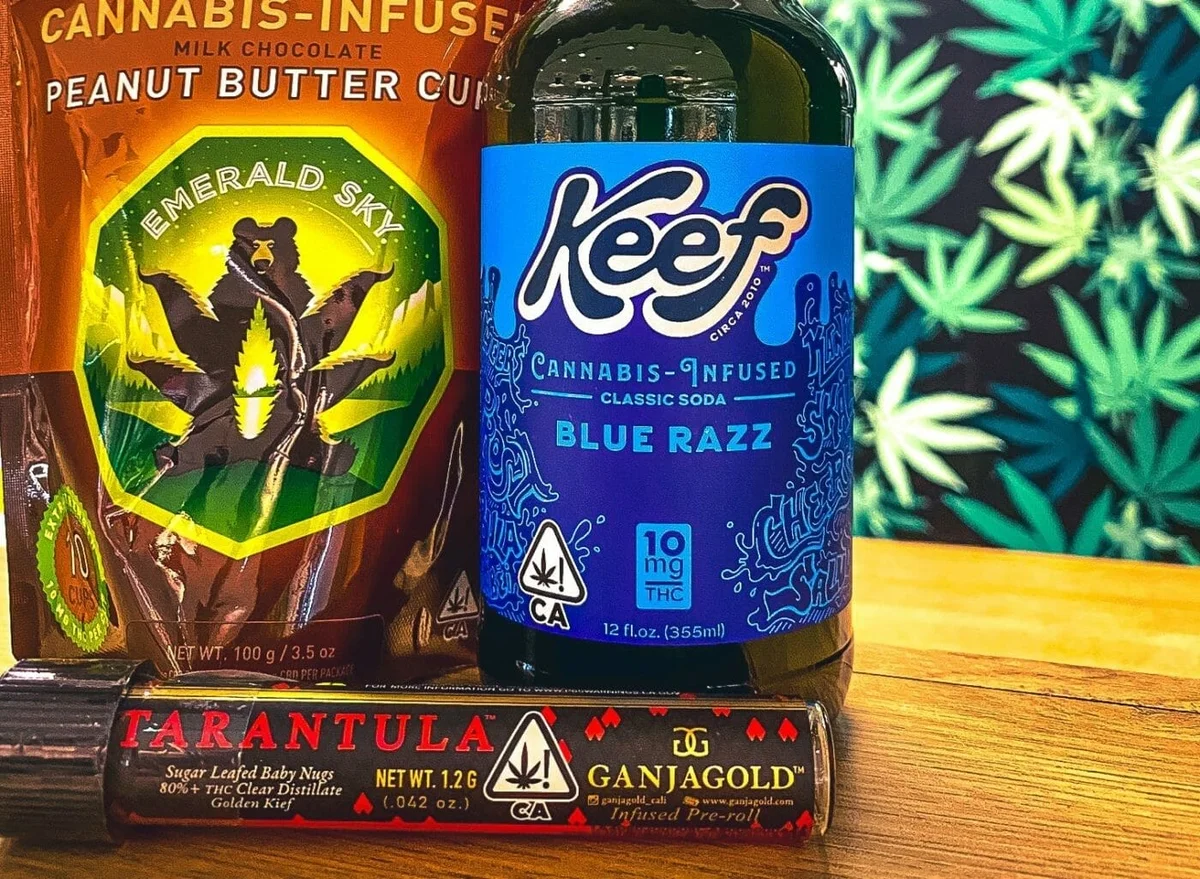 1772733224877 85b7f704 Ab66 4519 A339 94f65746b5f2 - Make Holiday Gift Buying Easy with Embarc Gift Guide!