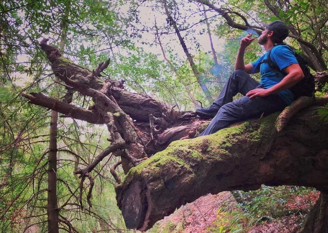 1772733275179 749434be 2531 45a6 A3ed B6e033101a70 - HighRize, a Cannabis Brand Committed to the Best