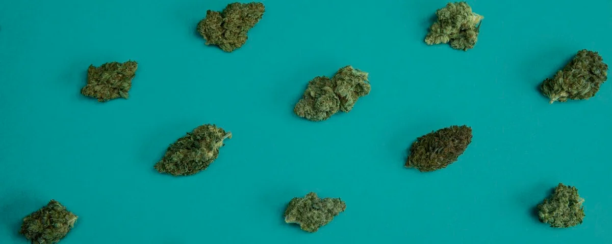 1772733308996 02707e25 28e5 4d67 Bb8e Fa93b1c2251b - Work From Home Strains to Get You Through the Day