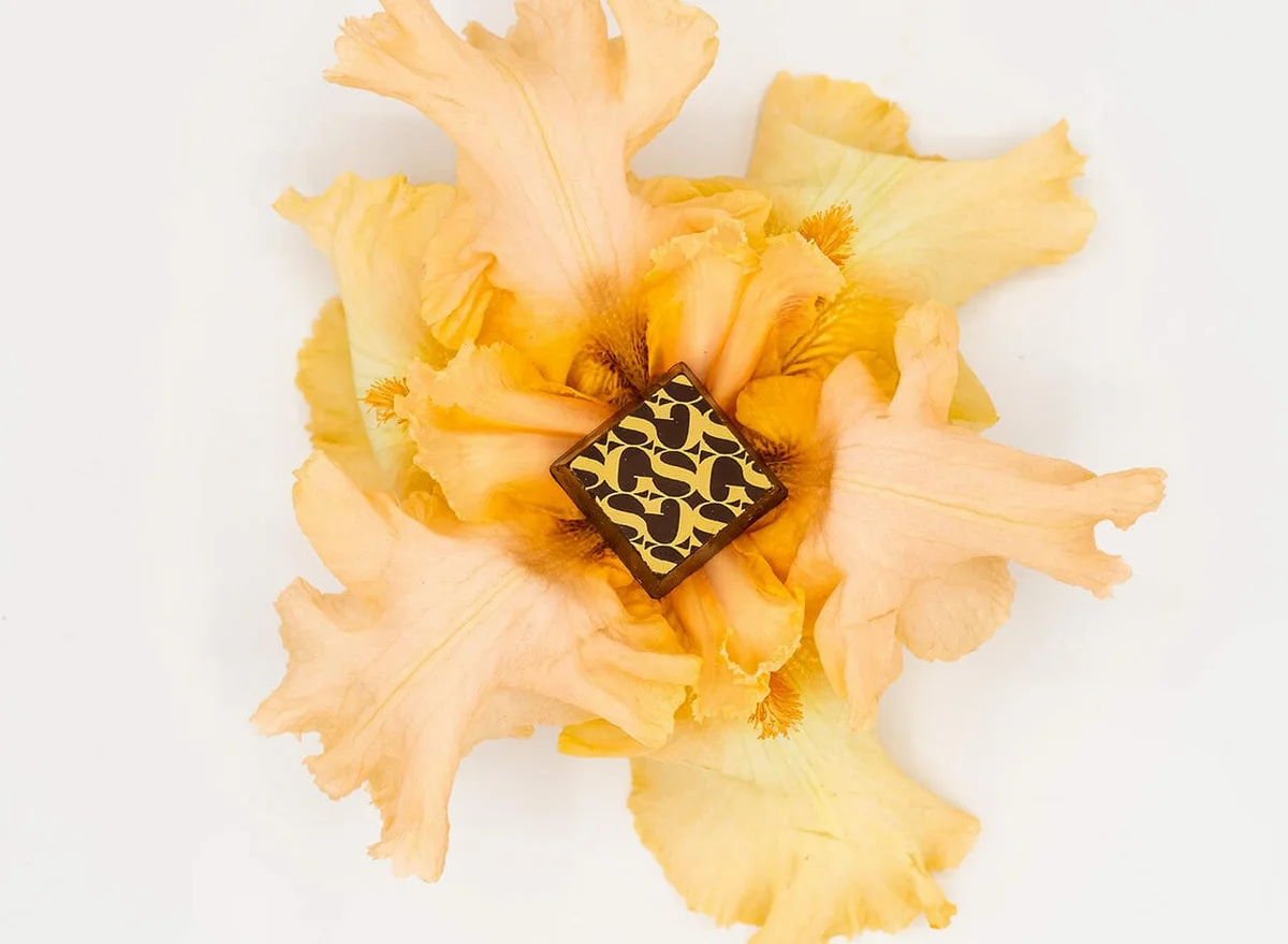 1772733318061 46e9aa74 6e0f 4b53 B469 70bfb27c7410 - World Mental Health Day: Cultivate a Sound Mind with Strain Specific Cannabis