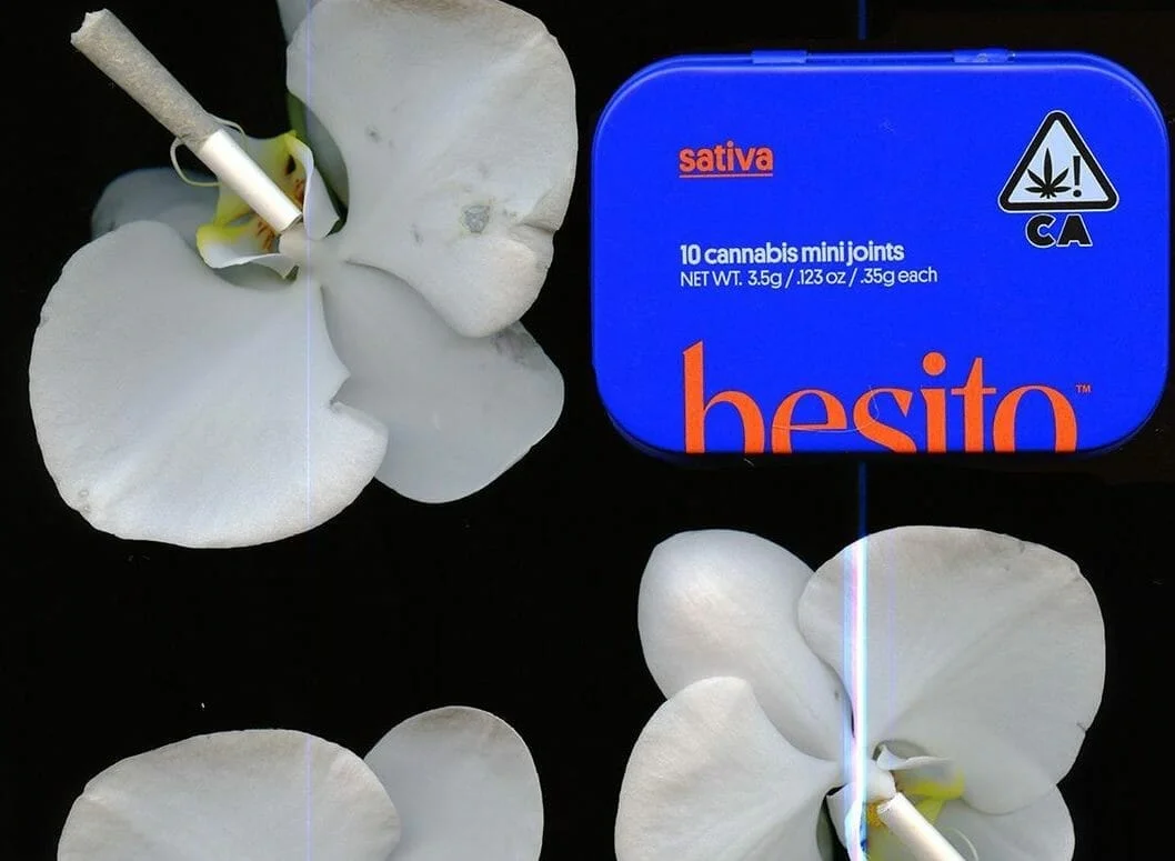 1772733322415 7178b63c 59c5 40e4 Ab0a 29ad9c5daaec - Meet Besito