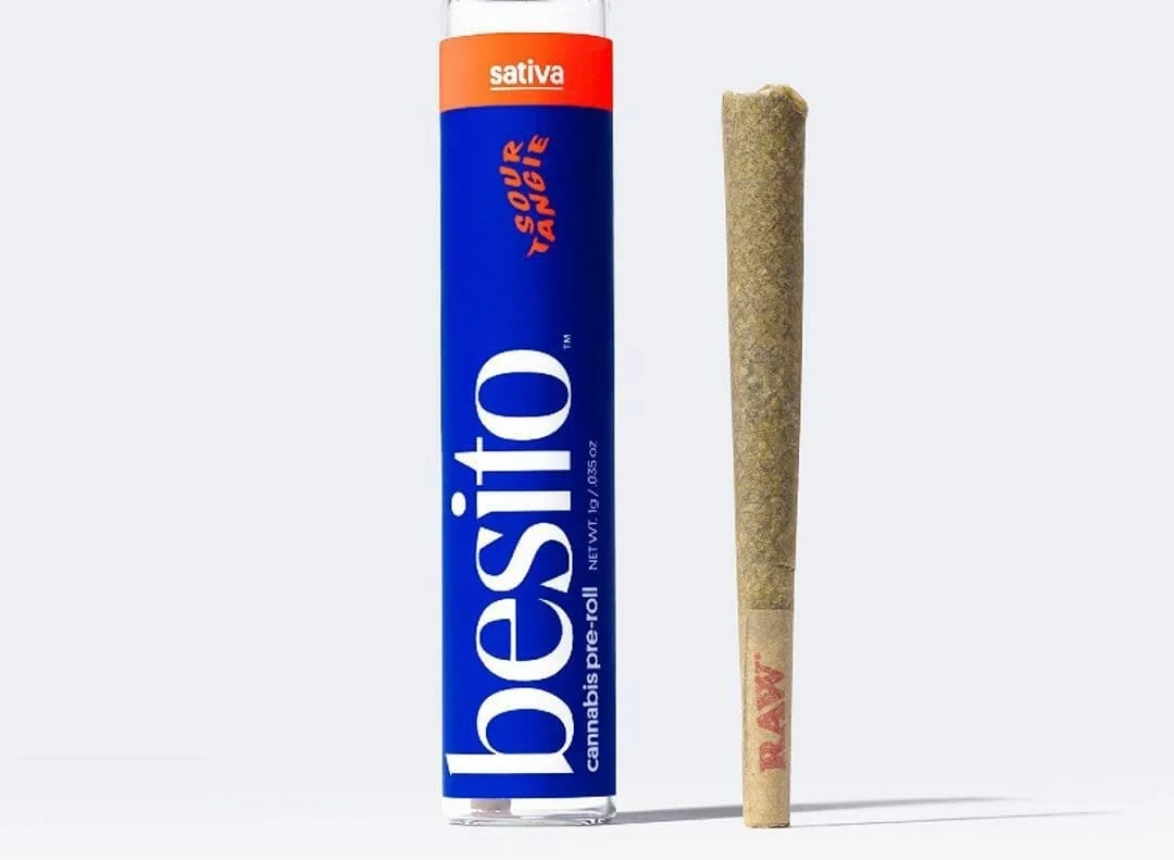 1772733331534 0135cd7f 1c2c 4741 A851 Fde9988bdaba - Meet Besito