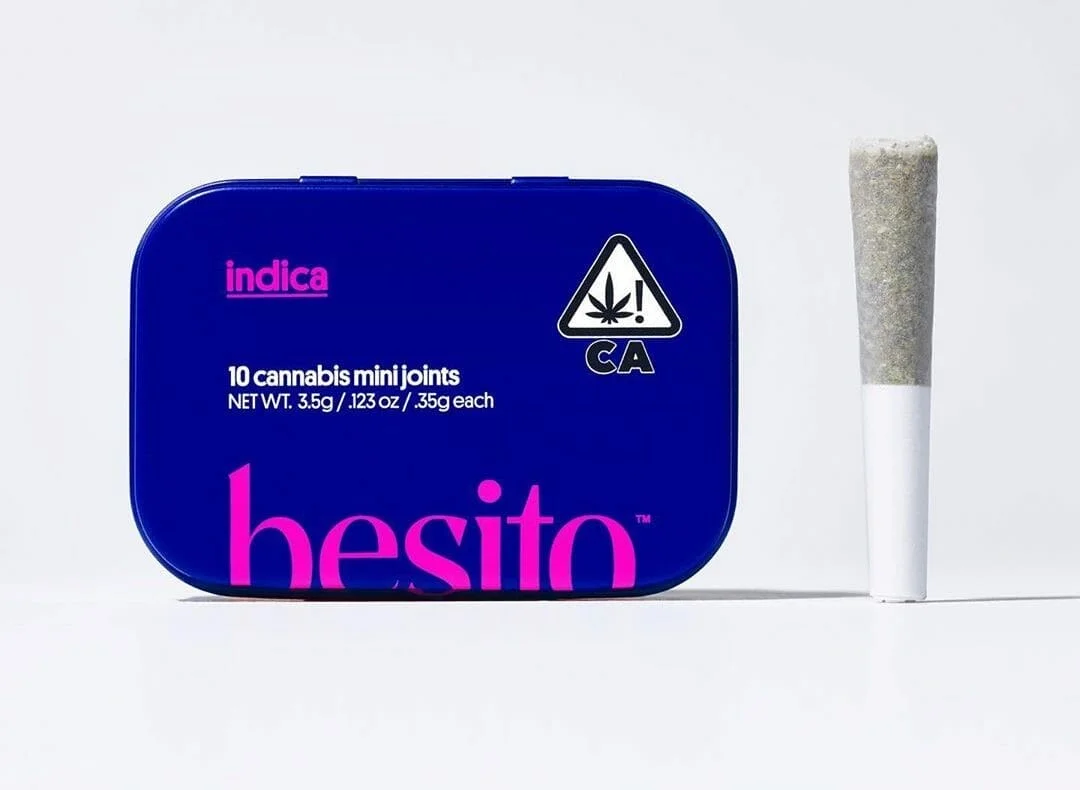 1772733333613 56edda83 2b0c 4d35 8aa6 A535d6f0c6cc - Meet Besito