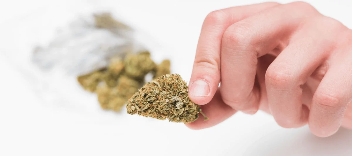 BLOG blog header image