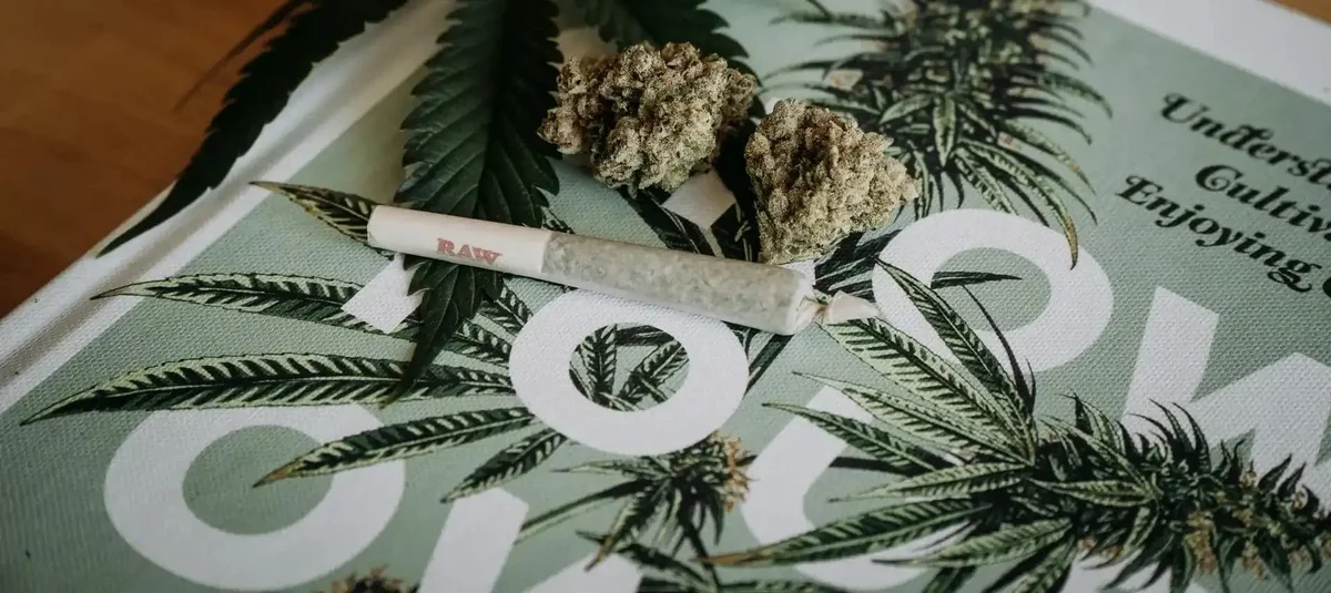 BLOG blog header image