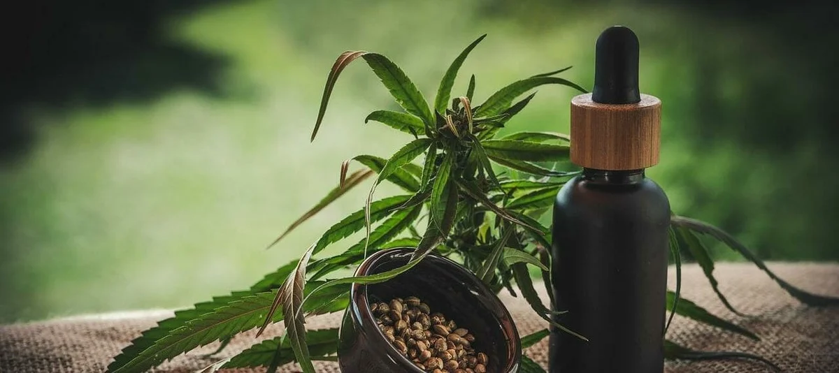 Daily Deals on Top Cannabis Products at Embarc Alameda - Alameda article