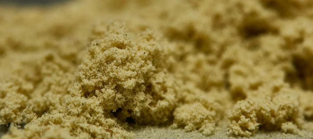 BLOG blog header image