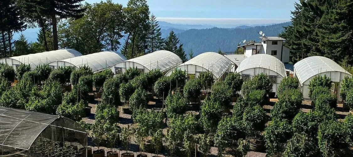 BLOG blog header image