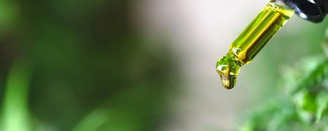 BLOG blog header image