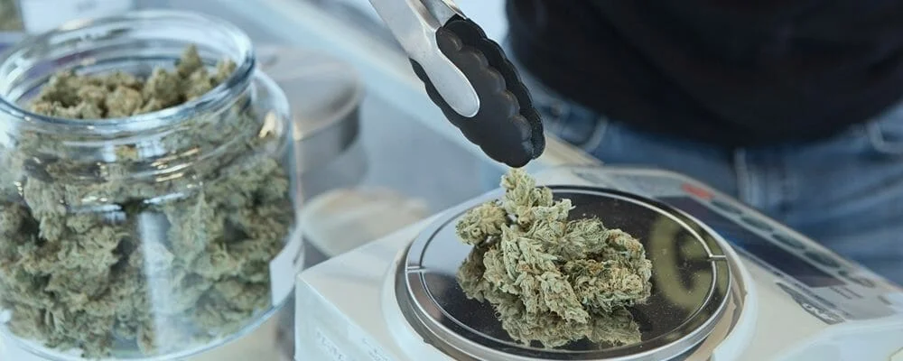 BLOG blog header image