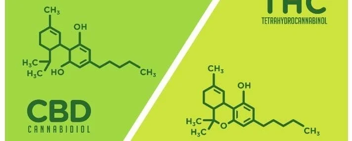 BLOG blog header image