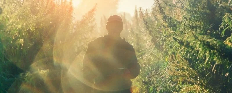 How Long Will a Weed High Last? - Explore & Learn article