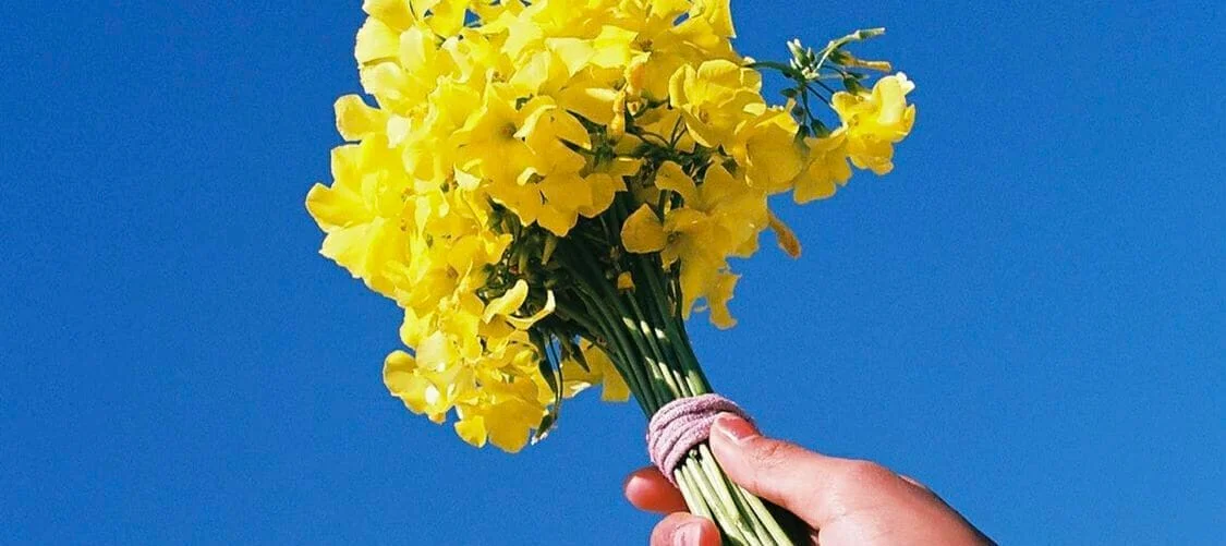 BLOG blog header image