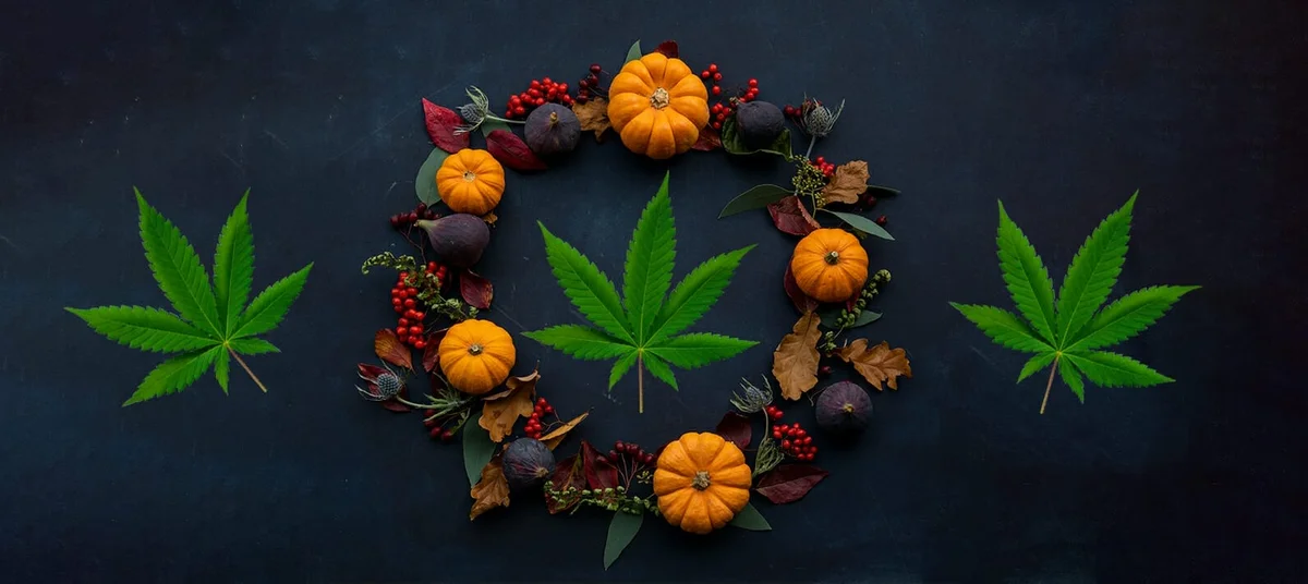 BLOG blog header image