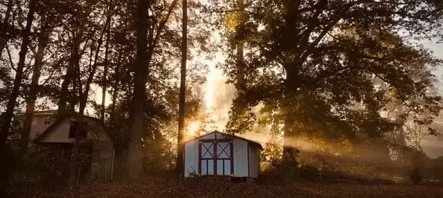 BLOG blog header image