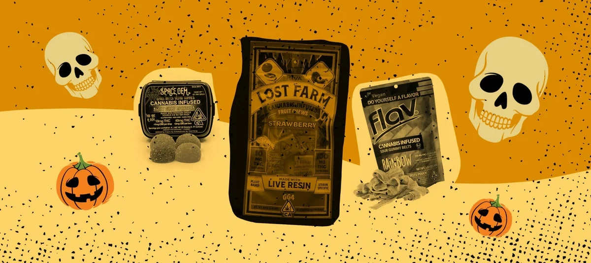 BLOG blog header image