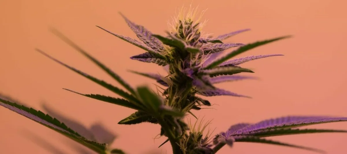 BLOG blog header image