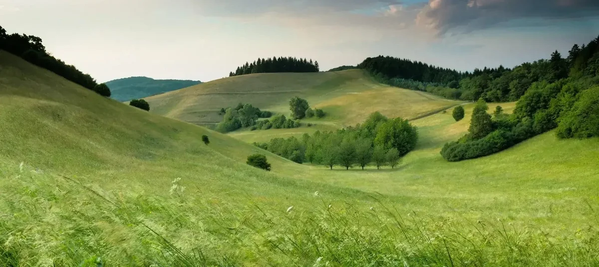 BLOG blog header image